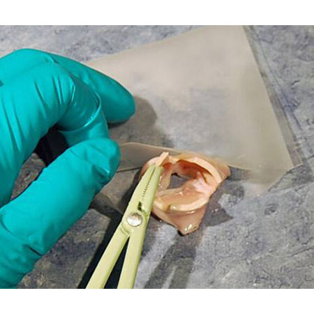 TissueVault Cryogenic Freezing Bag